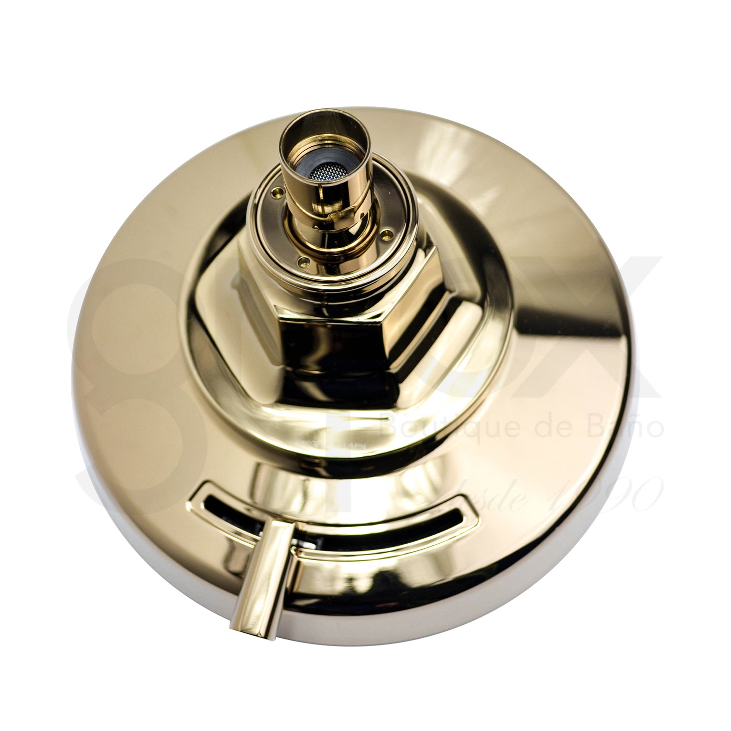 Cabeza De Ducha Redonda Con Masaje