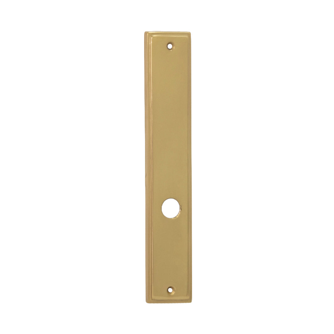 Placa Dummy Con Hueco Para Manija