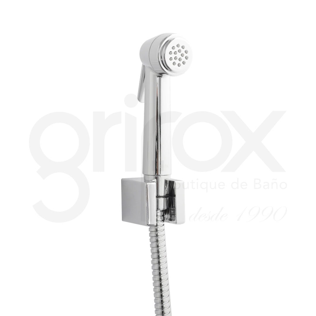 Teleducha Manguera Y Soporte Cromo