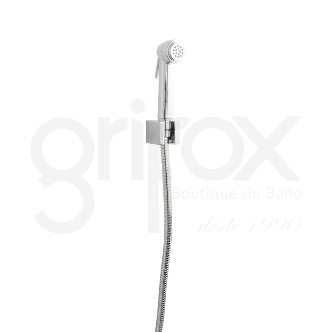 Teleducha Manguera Y Soporte Cromo