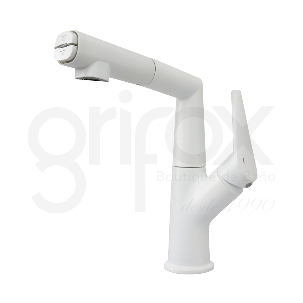 Grifería De Cocina Monocontrol Baja Con Manguera Extraíble