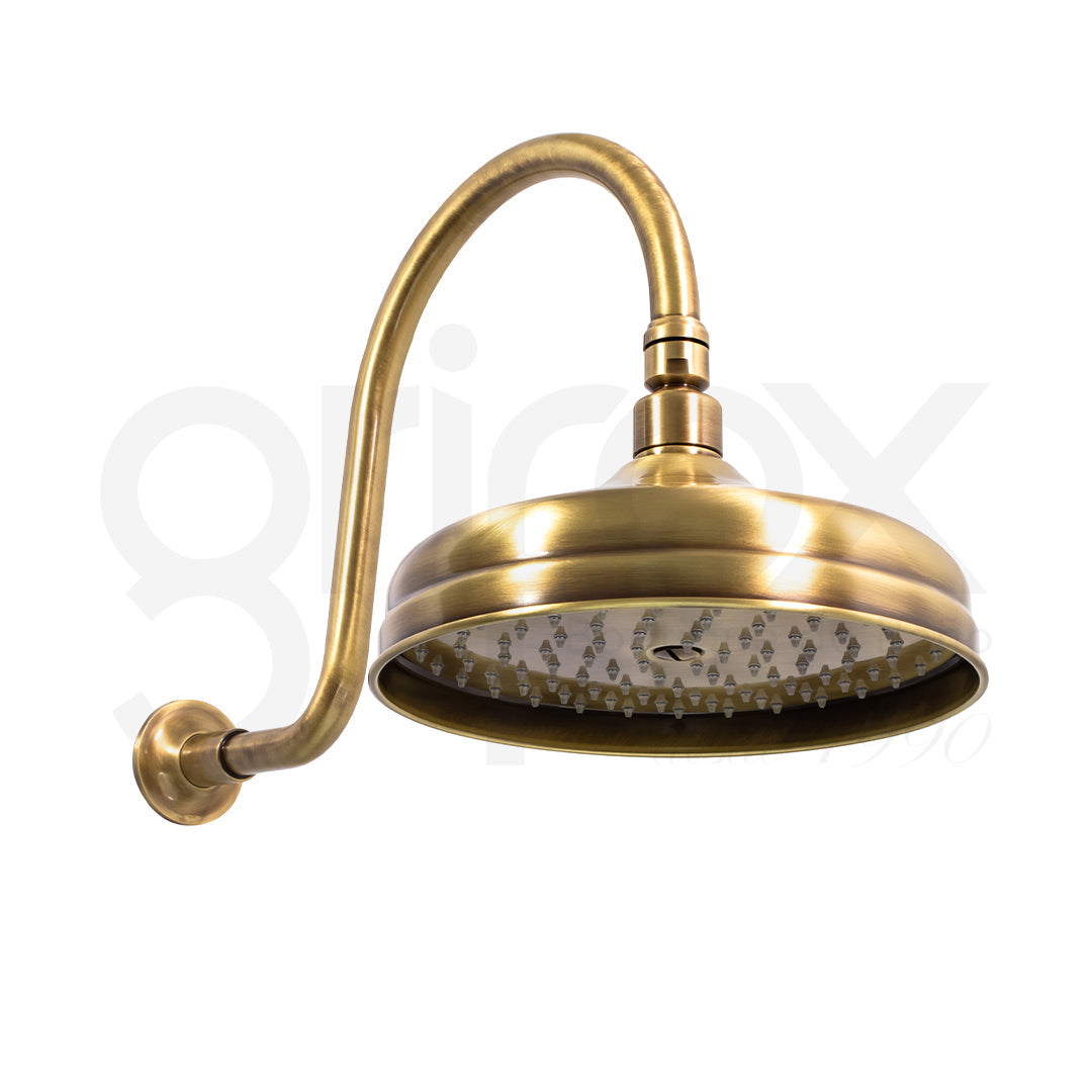 Brazo a Pared Con Cabeza Ducha 200MM