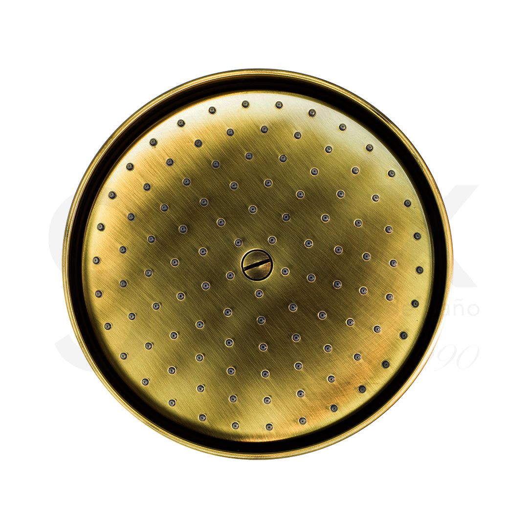 Brazo a Pared Con Cabeza Ducha 200MM