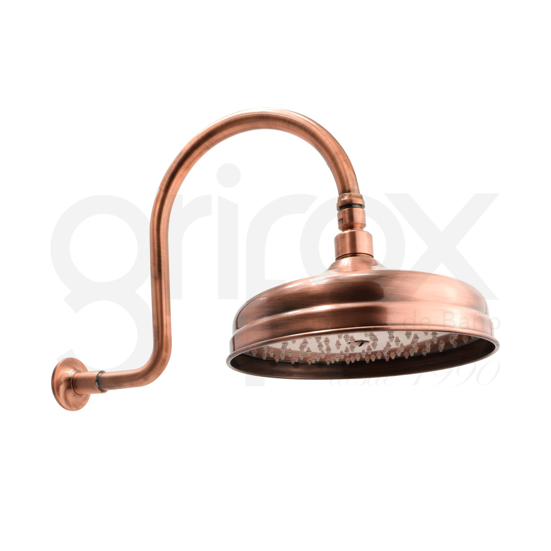 Brazo A Pared Con Cabeza Ducha 200Mm