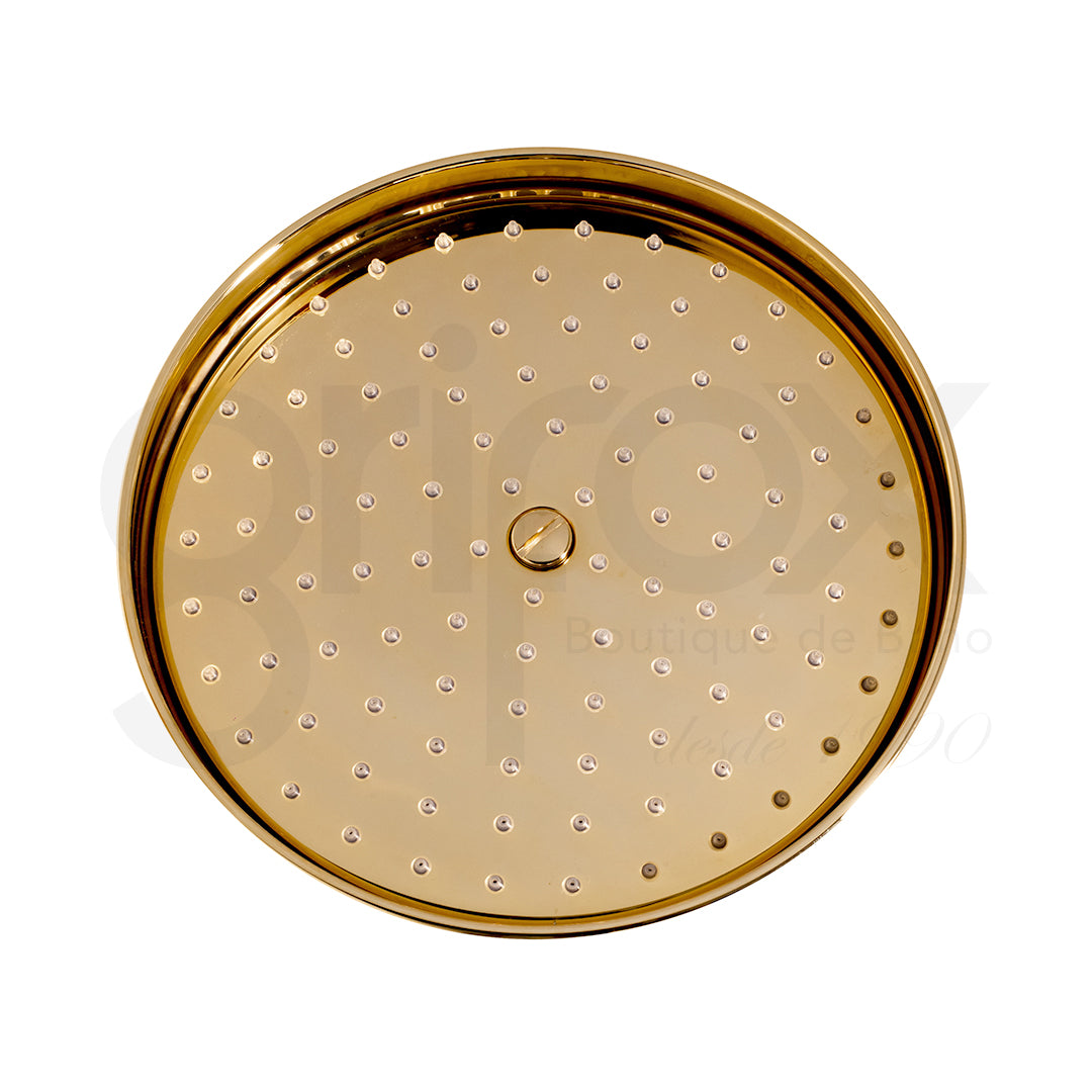 Brazo a Pared Con Cabeza Ducha 200MM