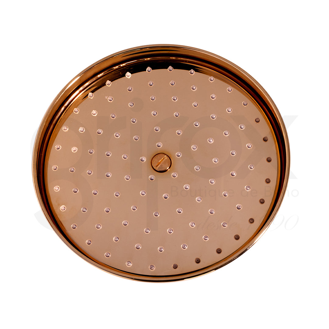 Brazo a Pared Con Cabeza Ducha 200MM