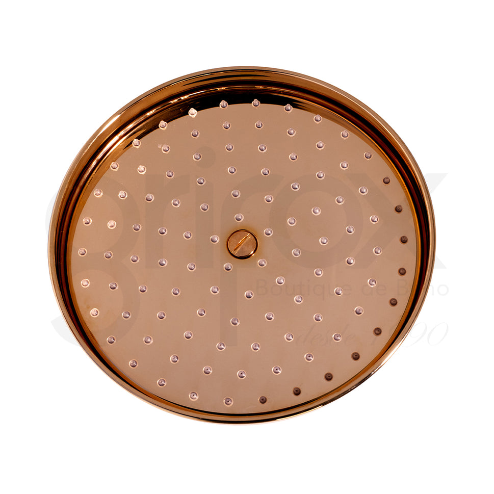 Brazo a Pared Con Cabeza Ducha 200MM