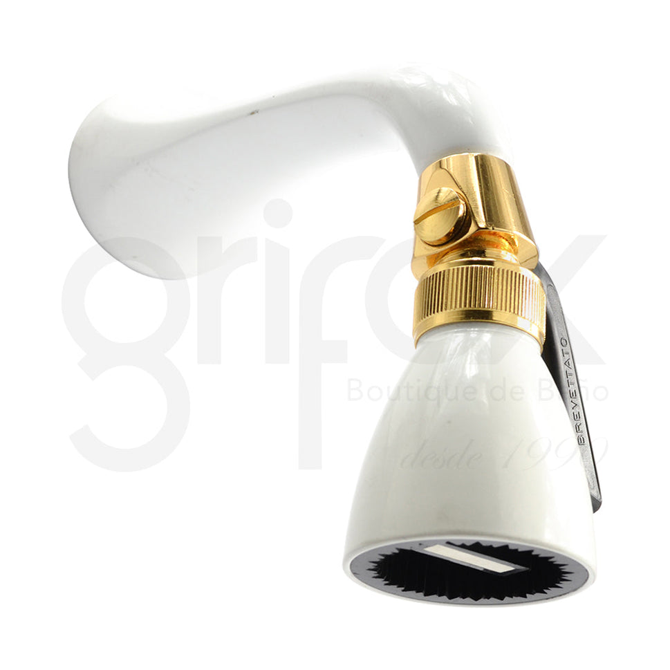 Brazo Cabeza De Ducha De Dos Posiciones