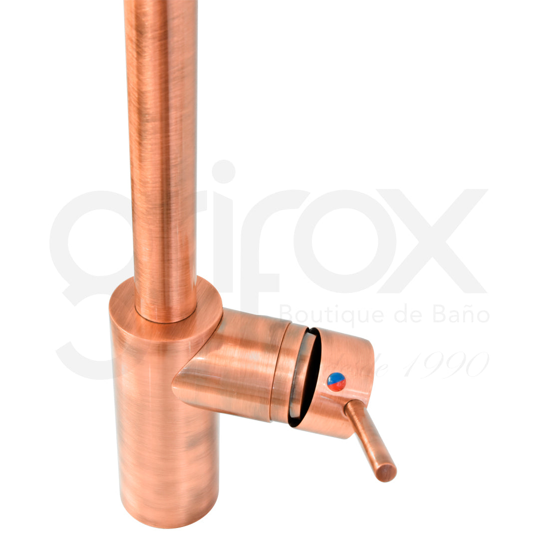 Grifería Con Cabeza Extraible