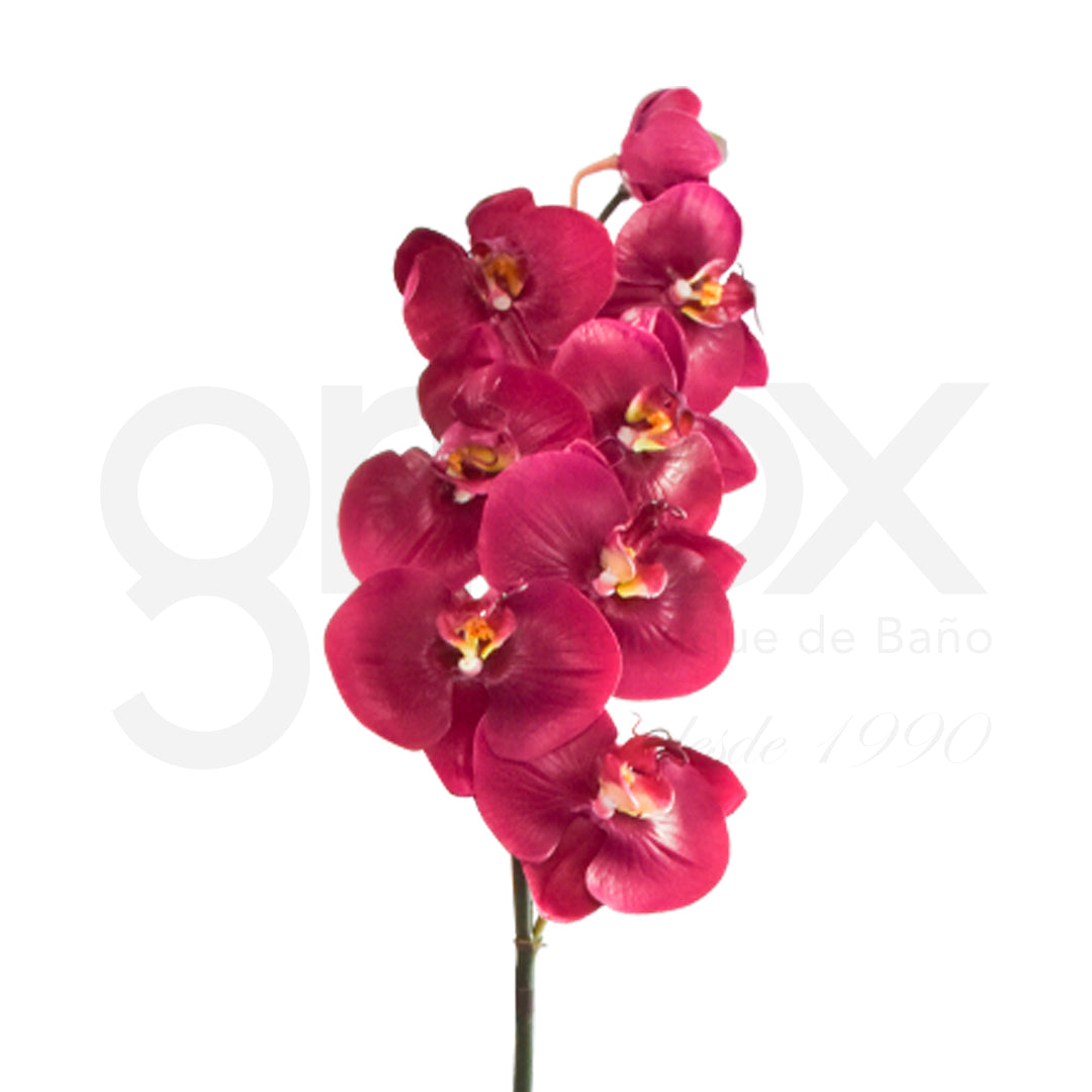 Orquidea 88Cm / Orchid