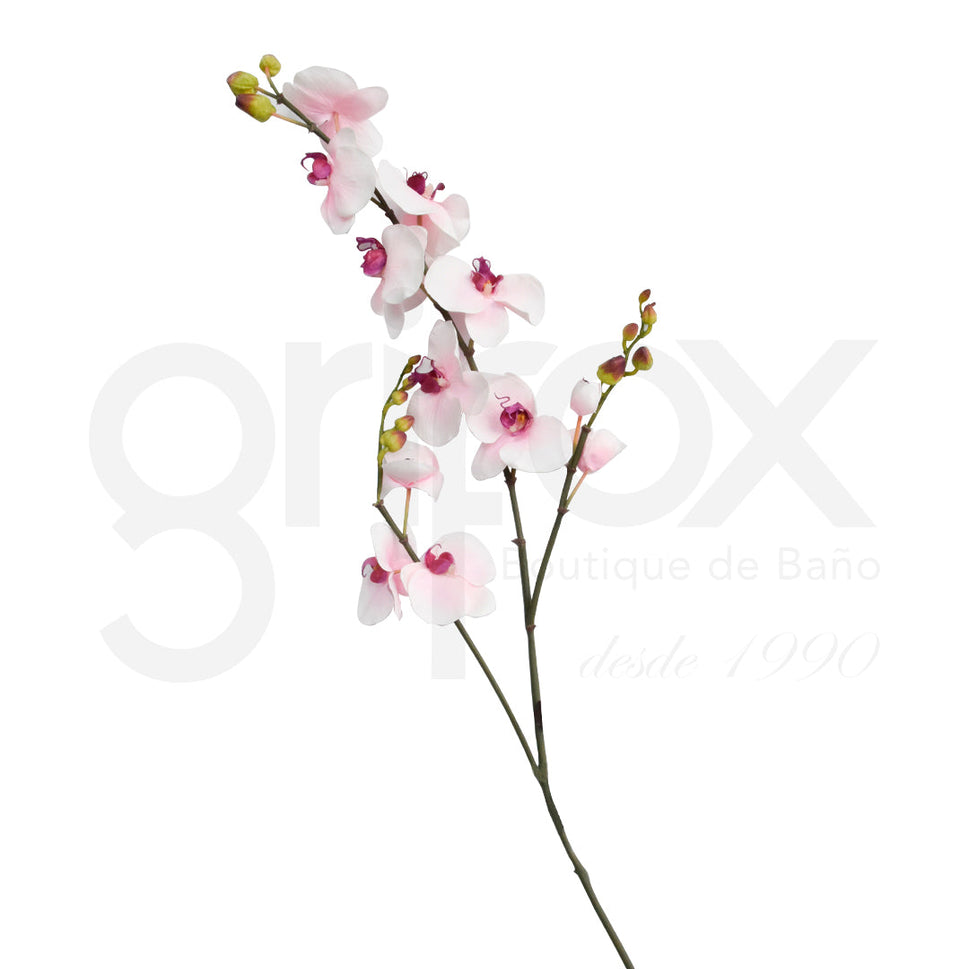 Orquidea Rosada 120Cm / Orchid