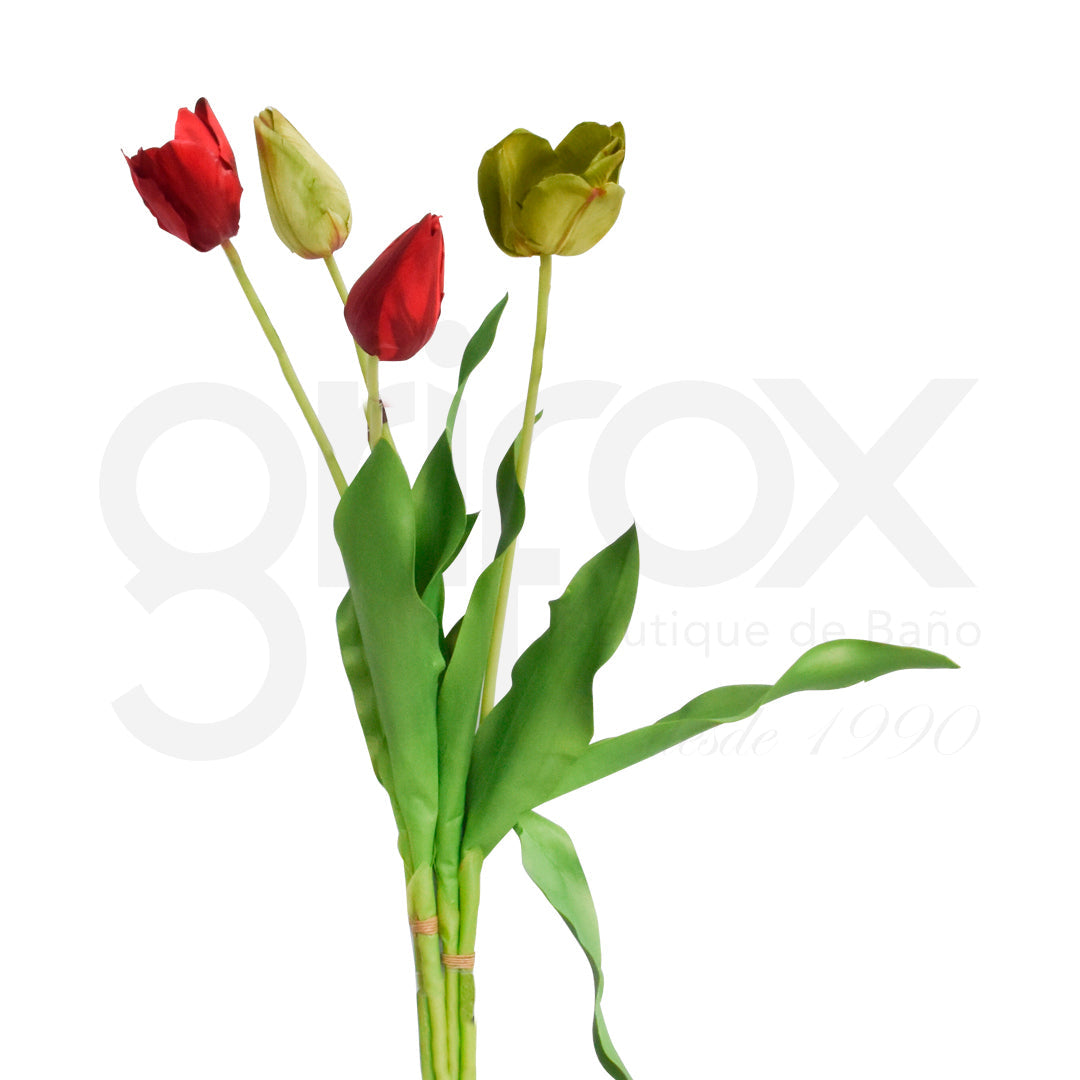 Tulipanes X2  62Cm Rojo Y Verde