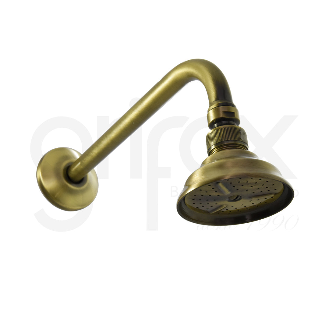 Cabeza Y Brazo De Ducha