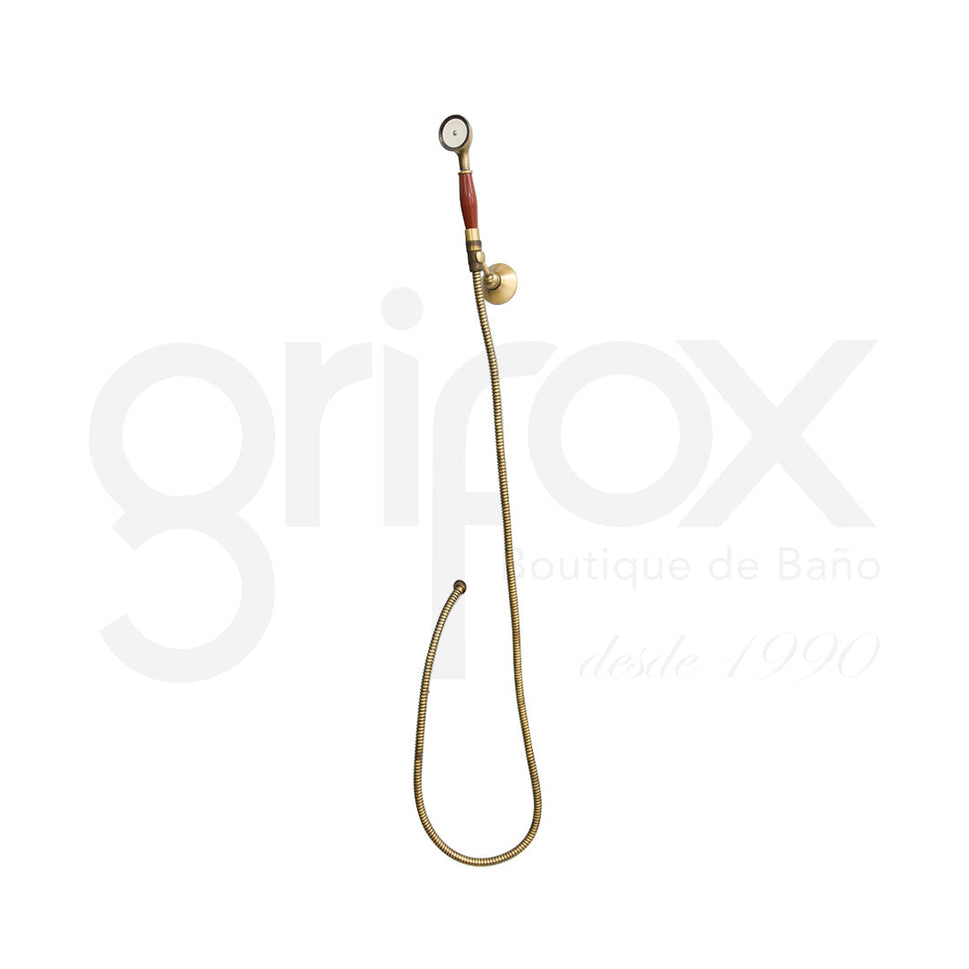 Teleducha Soporte Y Manguera