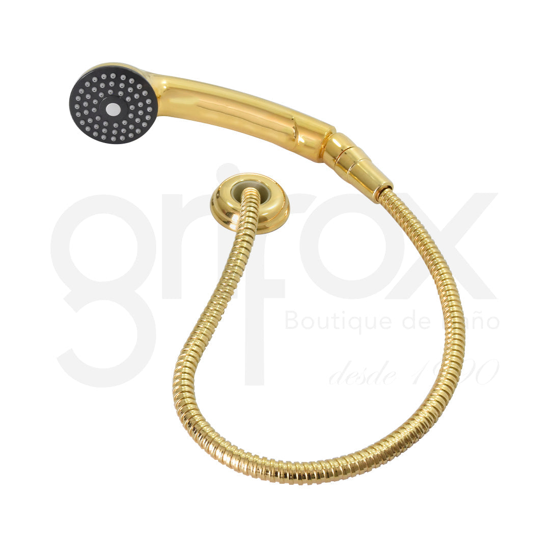 Teleducha Soporte Y Manguera