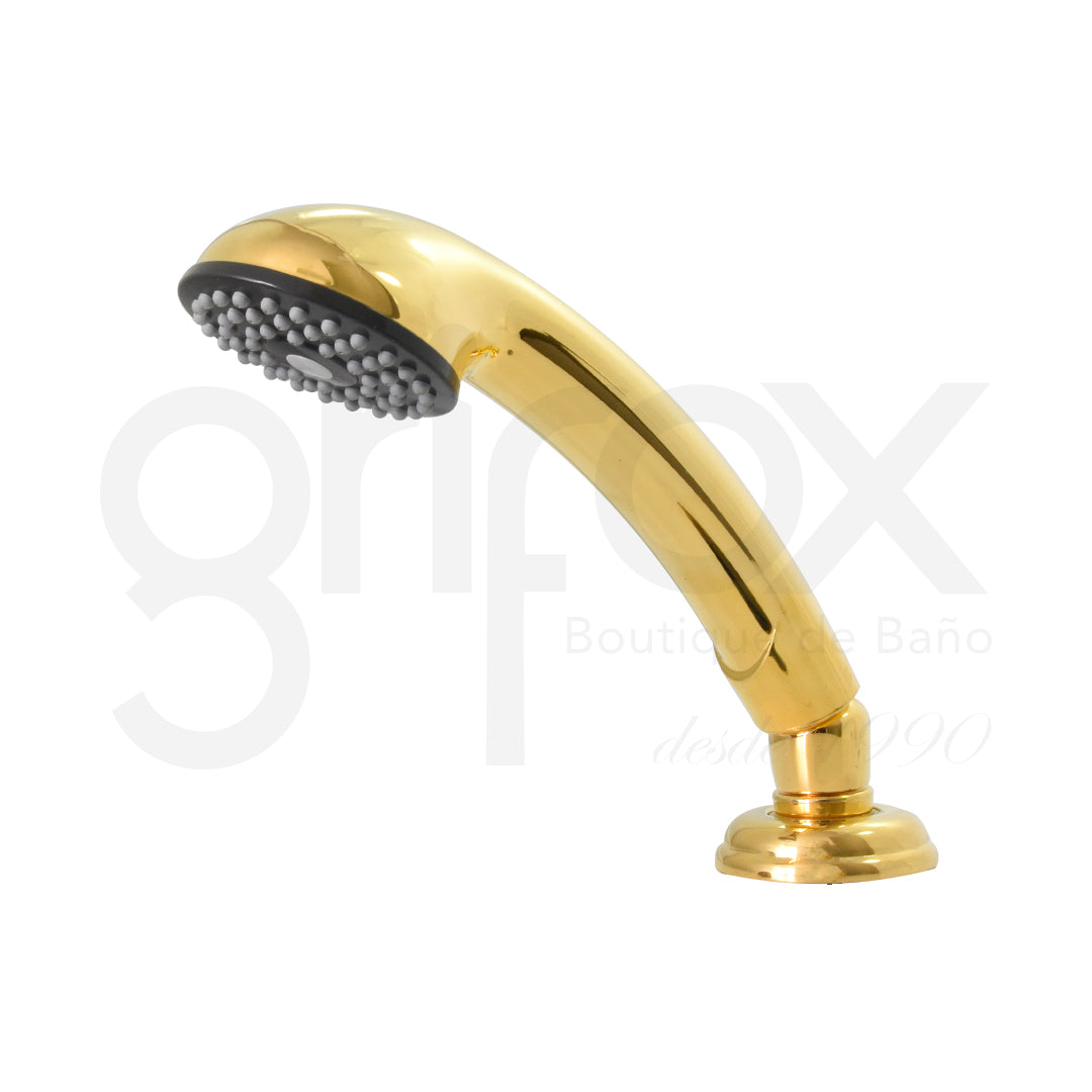 Teleducha Soporte Y Manguera