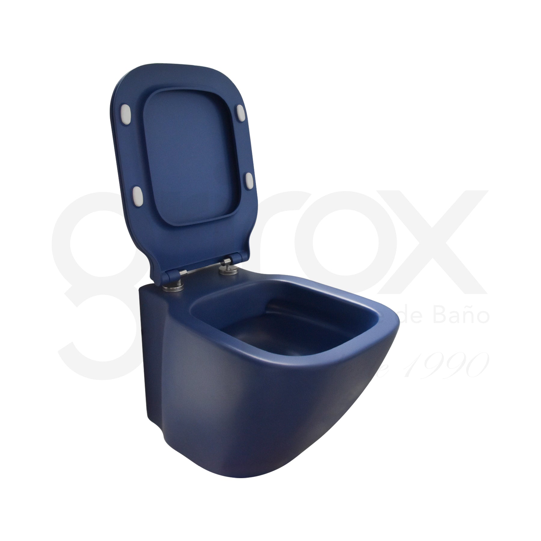 Sanitario Suspendido