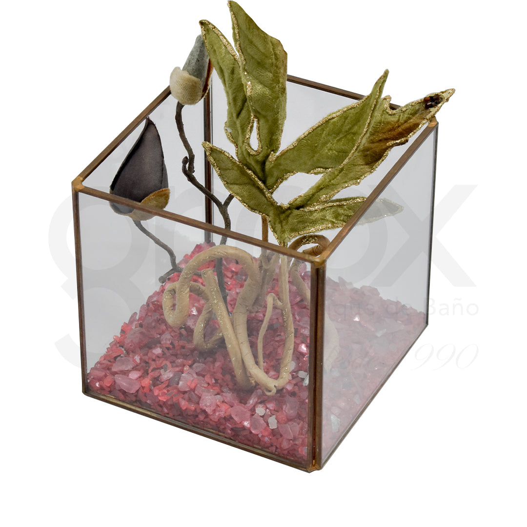 Caja De Cristal Cuadrada 12X12X12Cm