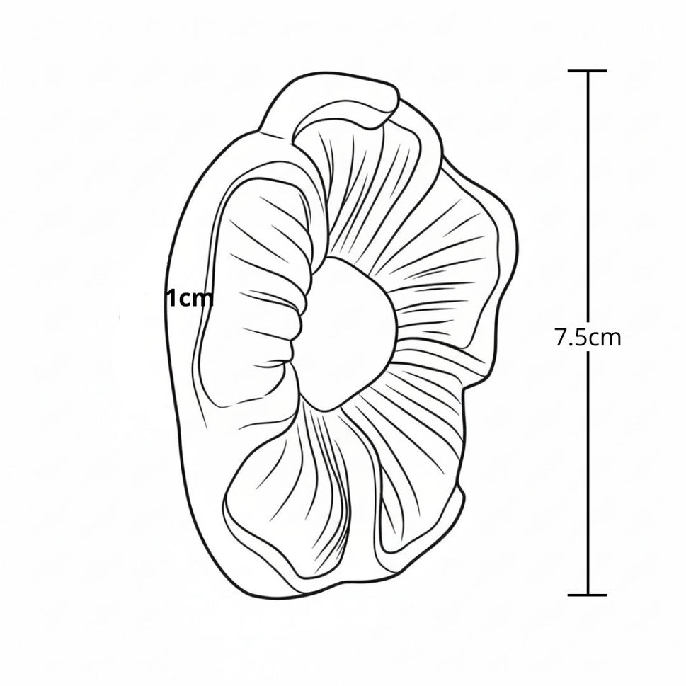 Roseton 7Cm Colonial