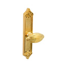 Cambiar a la imagen Placa Con Pomo 3