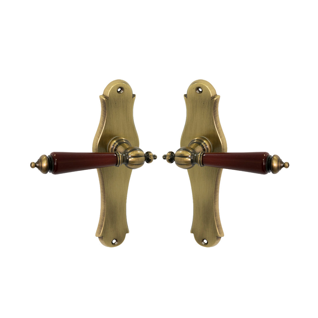 Juego Manijas Con Placa Dummy