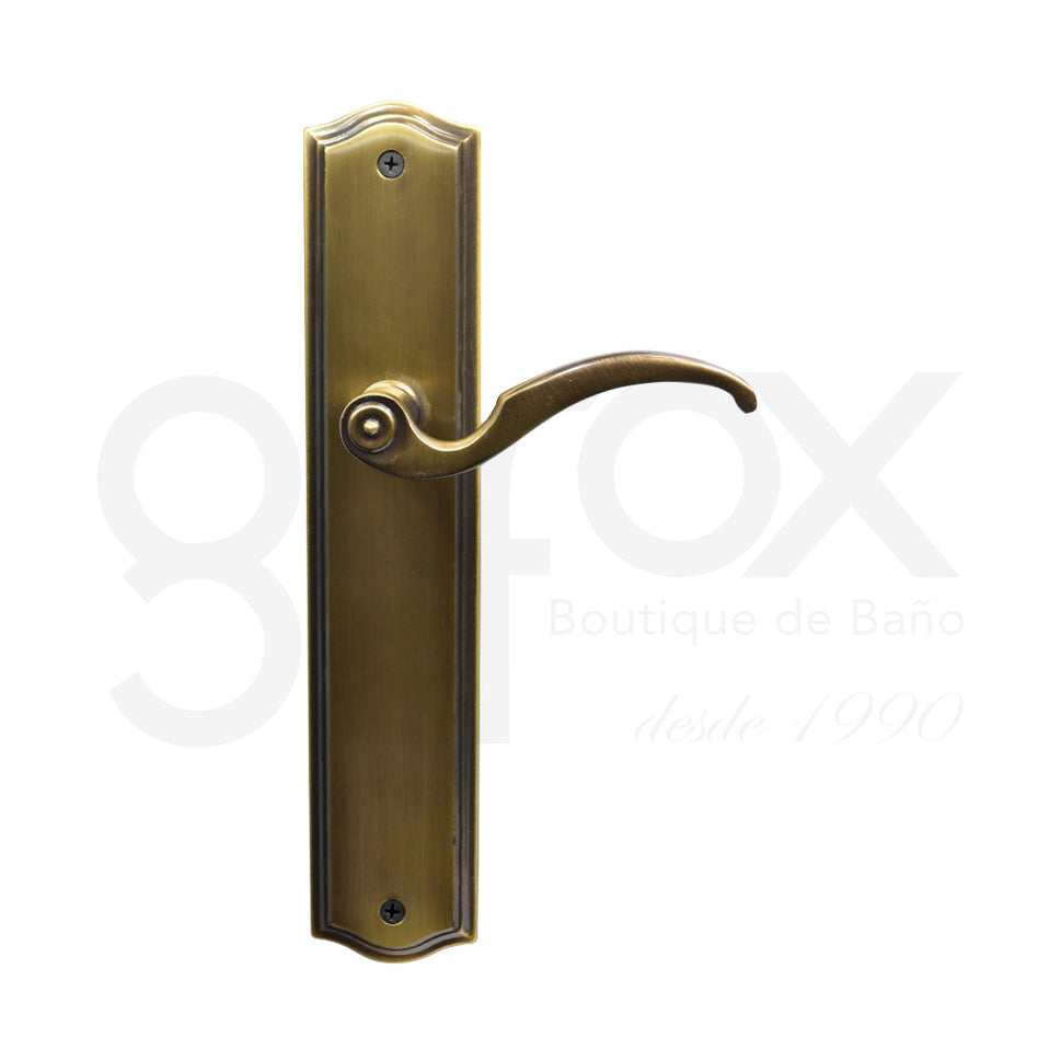 Juego Manijas Con Placa Dummy