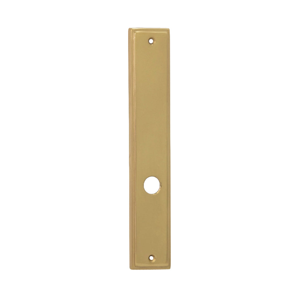 Placa Dummy Con Hueco Para Manija