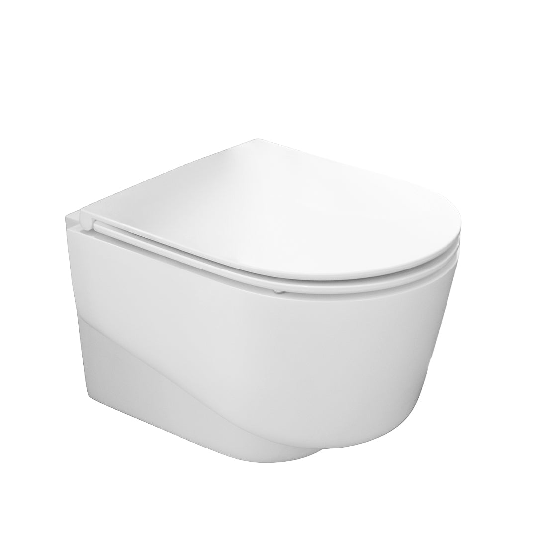 Sanitario Suspendido