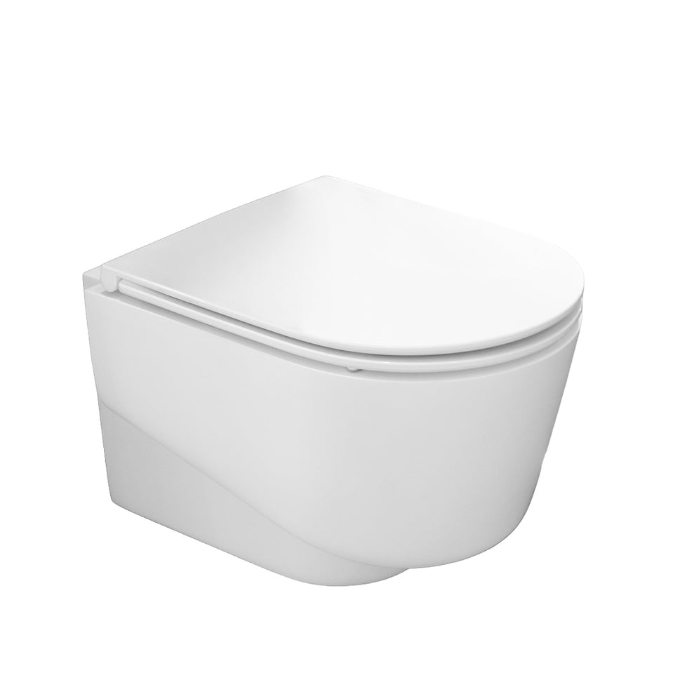 Sanitario Suspendido