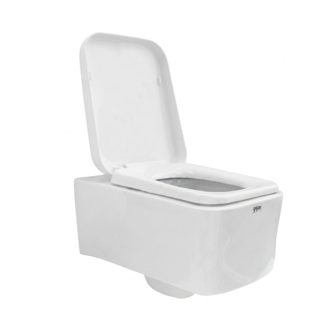 Sanitario Suspendido