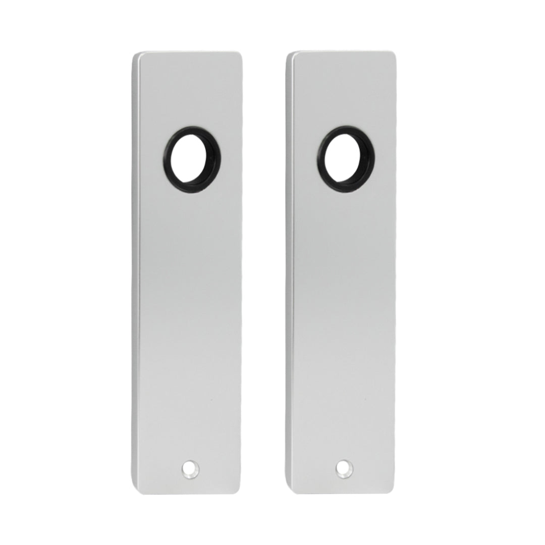 Juego Placas Dummy 170