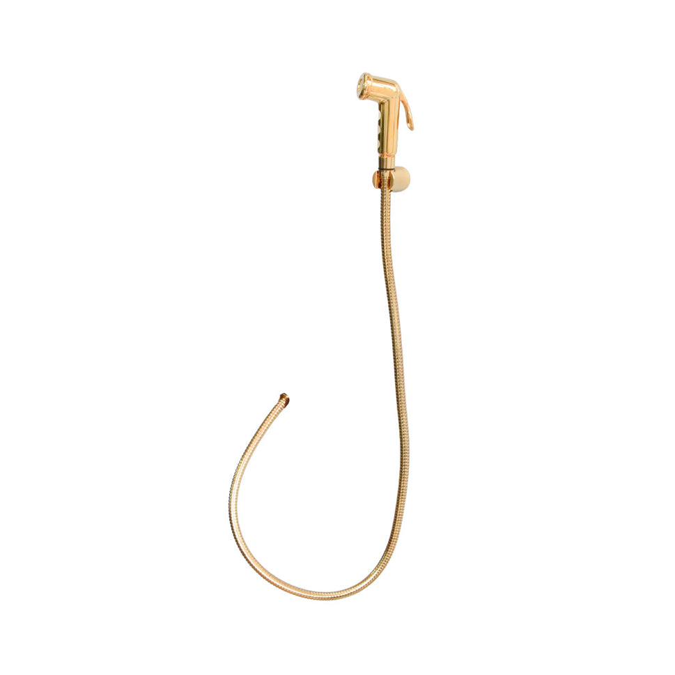 Set De Ducha De Mano C/Manguera Y Soporte