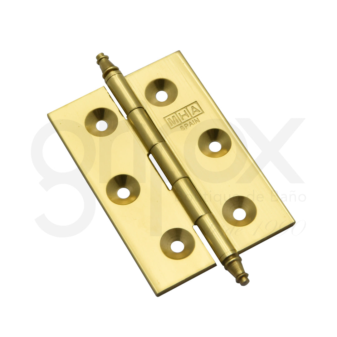 Bisagra 60*40 Mm