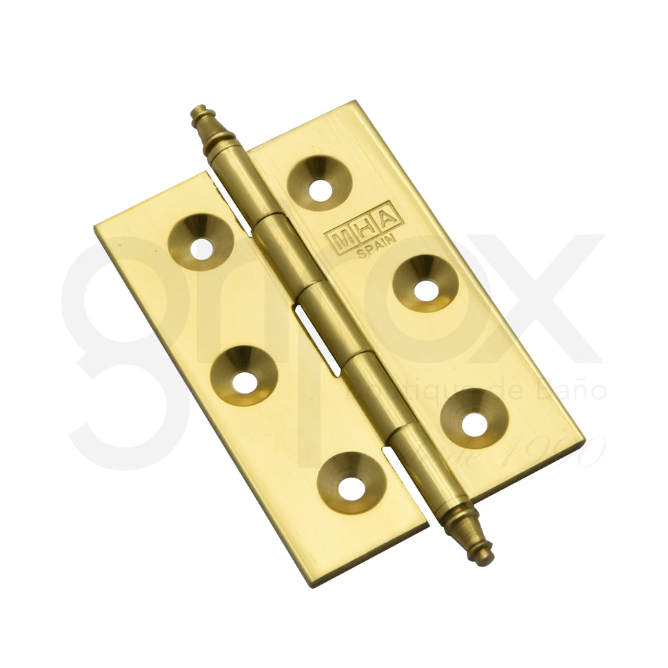 Bisagra 60*40 Mm