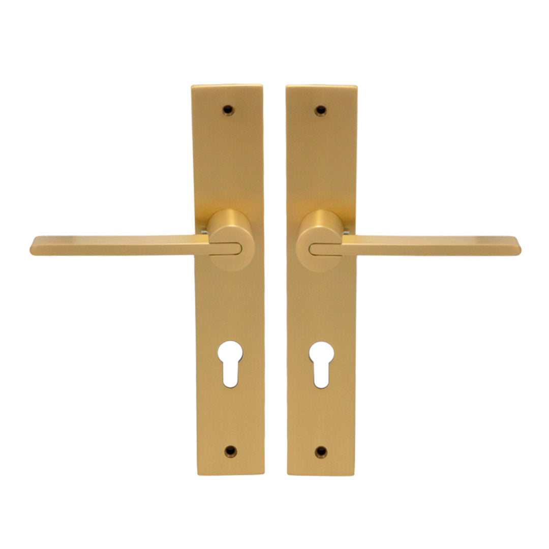 Juego De Placa Con Mecanismo Y Cilindro Llave Pomo Normal