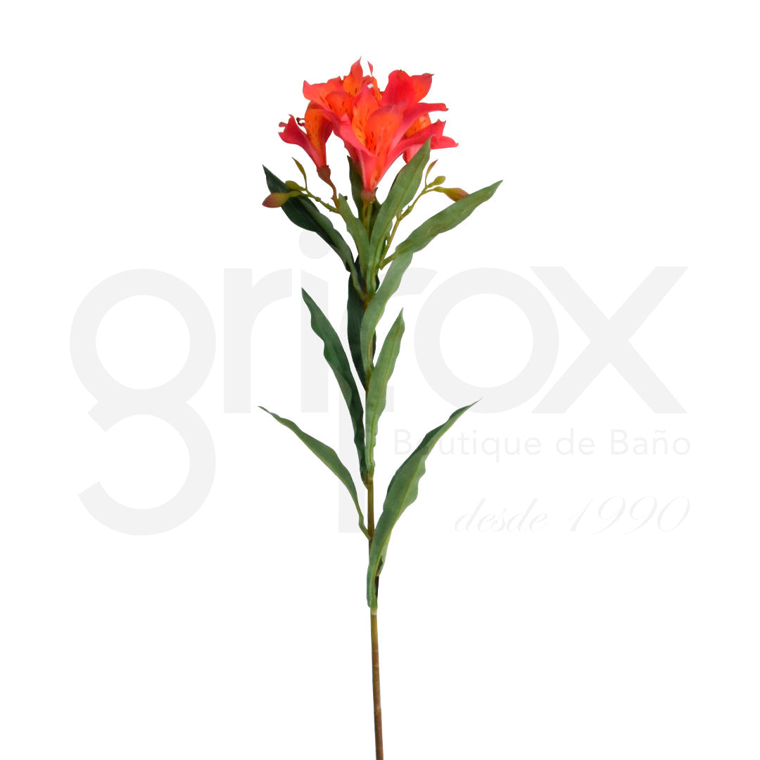 St Romelia 91Cm Rojo/ Flowers