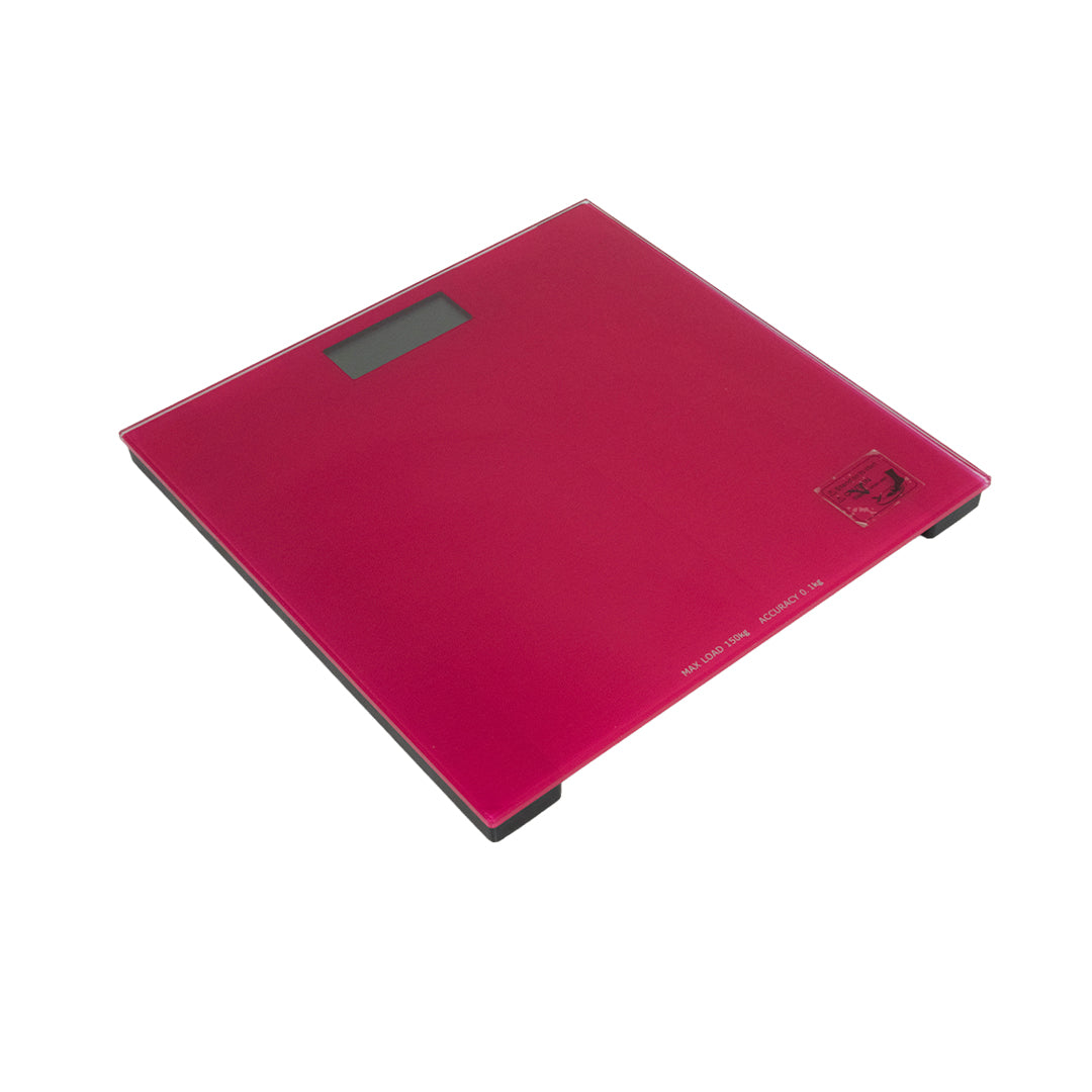 Bascula En Vidrio Raspberry